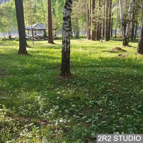 База отдыха