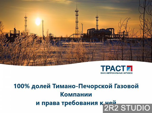 100 долей ооо тпгк