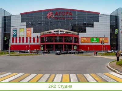 100 долей ооо Гинза