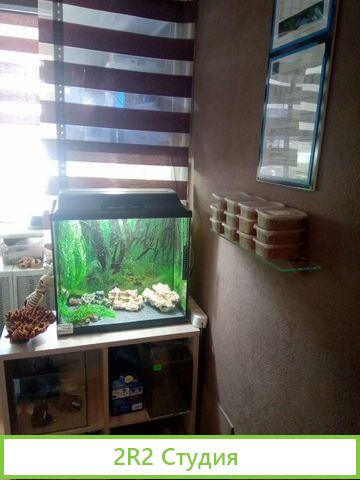Аквариумный магазин