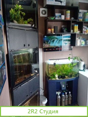 Аквариумный магазин
