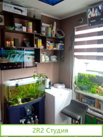 Аквариумный магазин