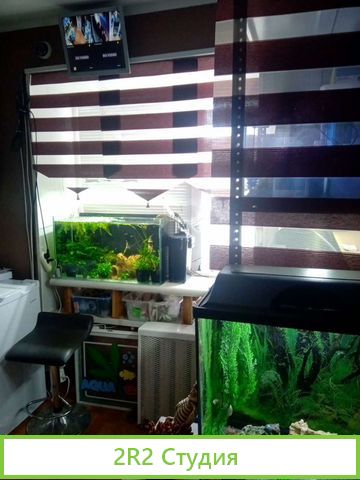 Аквариумный магазин