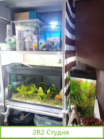 Аквариумный магазин