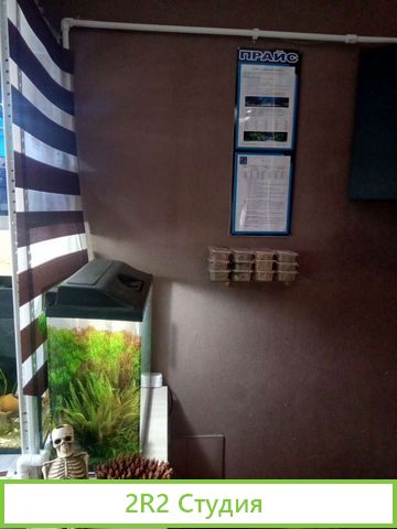 Аквариумный магазин