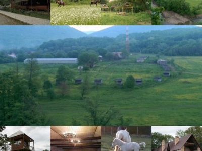 База отдыха с конным прокатом