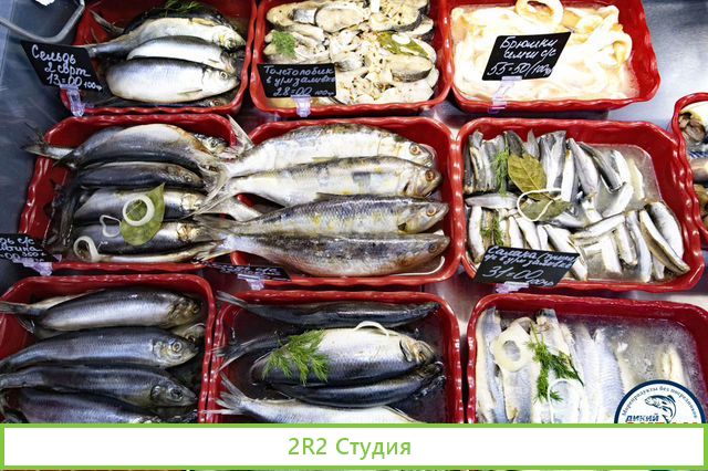 Бесплатная Франшиза Магазина