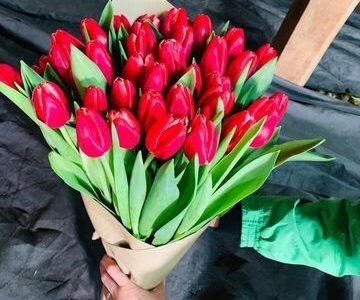 Бизнес на продаже тюльпана на 8 марта