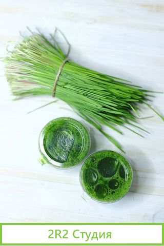 Цех производство Витграсс и микрозелени