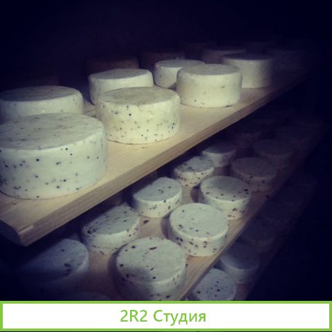 Cыроварня и Mолочное производство