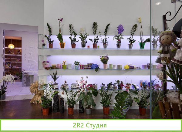 Цветочный магазин / Высокий пешеходный трафик