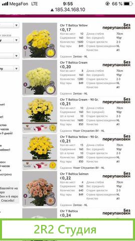 Цветочный магазин бизнес