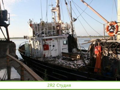 Доля 50 в рыбодобывающей компании