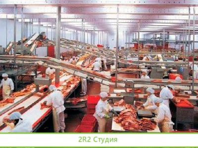 Доля в действующем мясном производстве