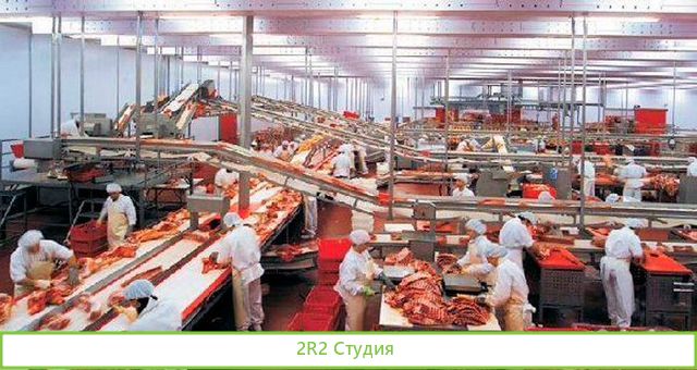 Доля в действующем мясном производстве