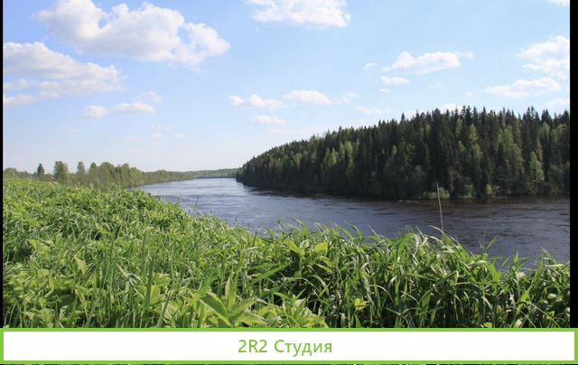 Дом дача с фермерским хозяйством