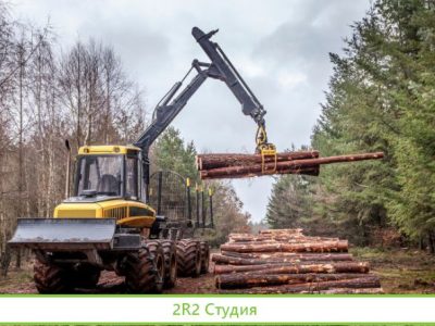Лесное хозяйство. 80 млн прибыль. Рассрочка