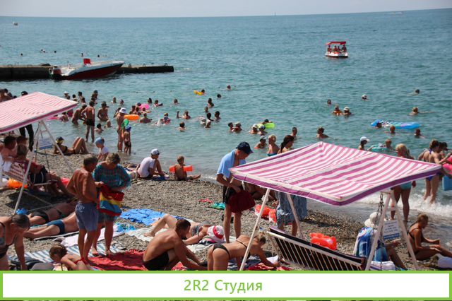 Экзотические фрукты, кокосы на пляже в Адлере,2022