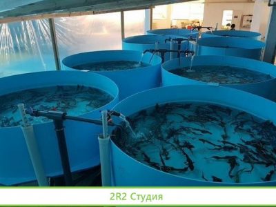 Ферма714 т.р в мес.чистГарантии