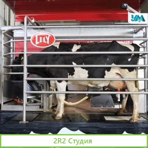 Ферма действующая, роботизированная