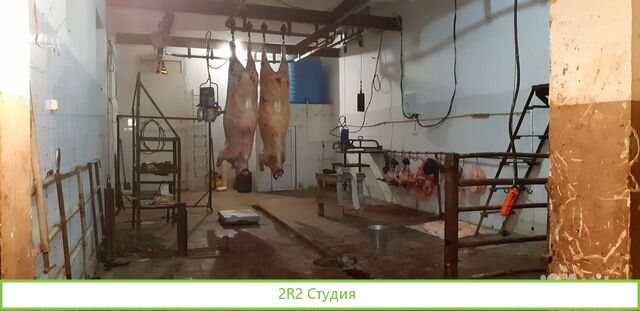 Ферма крс, убойный цех