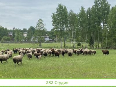 Фермерское хозяйство