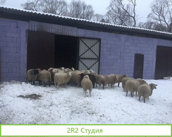 Фермерское хозяйство