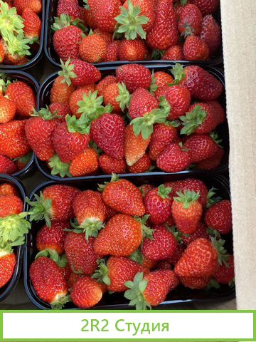 Фермерское хозяйство овощехранилище и теплицы