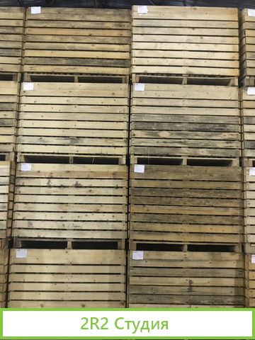 Фермерское хозяйство овощехранилище и теплицы