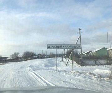 Фермерское хозяйство с овцами