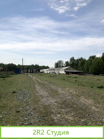 Фермерское хозяйство с овцами