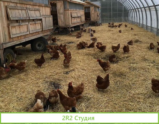 Фермерское хозяйство со всем имуществом