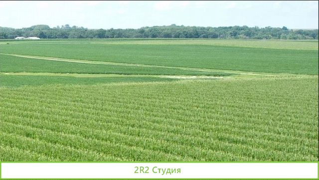 Фермерское хозяйство со всем имуществом