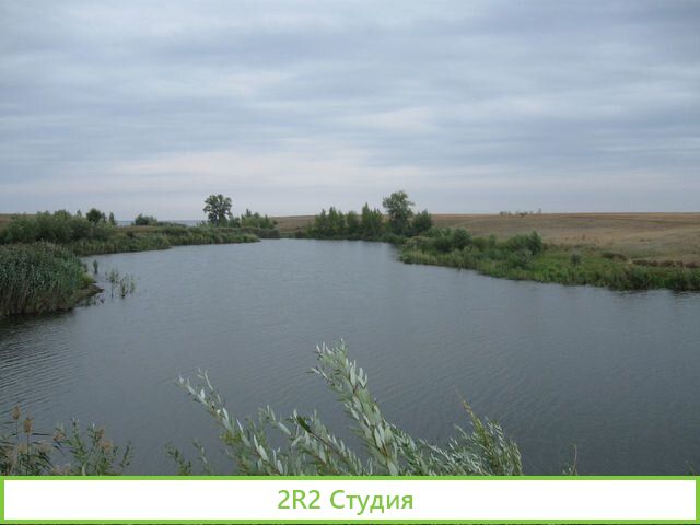 Фермерское хозяйство, животноводческая ферма