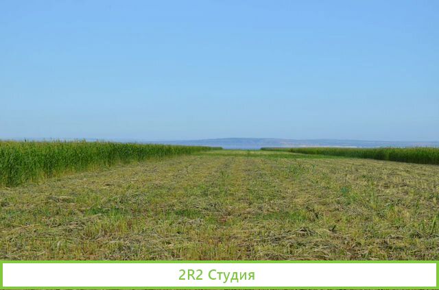 Фермерское хозяйство, животноводческая ферма