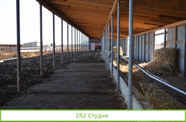 Фермерское хозяйство, животноводческая ферма