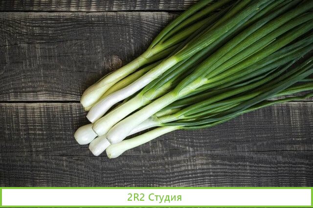 Франшиза. Выращивание зеленого лука. Доход от 300т