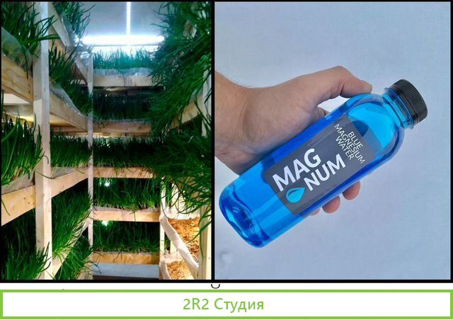 Франшиза выращивания зелени и производства воды