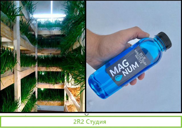 Франшиза выращивания зелени и производства воды