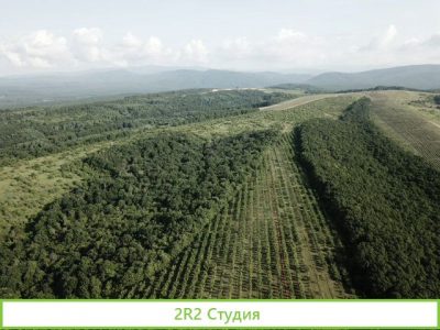 Фруктовый сад 6Га - черешня окупаемость 2 года