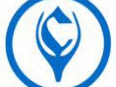 Готовые ооо. осно и усно