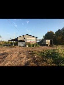 Готовый бизнес-пилорама