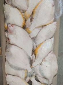 Готовый бизнес-рыбный отдел