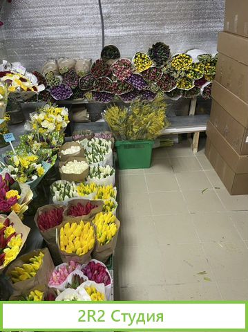 Готовый бизнес Цветочная База, рядом с метро