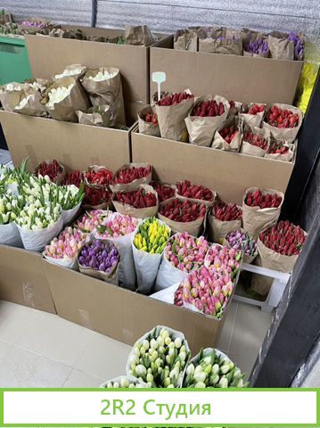 Готовый бизнес Цветочная База, рядом с метро