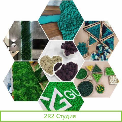 Готовый бизнес фитодизайна и флористики