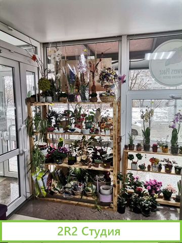 Готовый бизнес фитодизайна и флористики