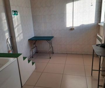 Готовый бизнес и оборудование