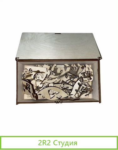 Готовый бизнес лазерная резка станок wattsan 1290