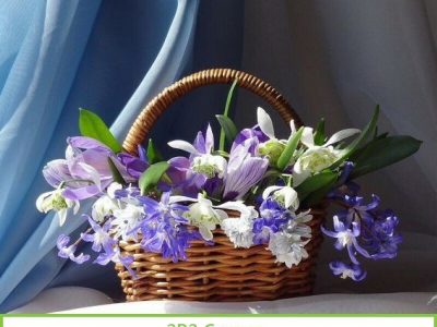 Готовый бизнес на растениях